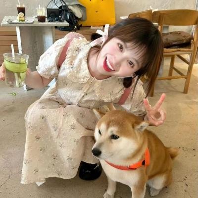 大道似锦