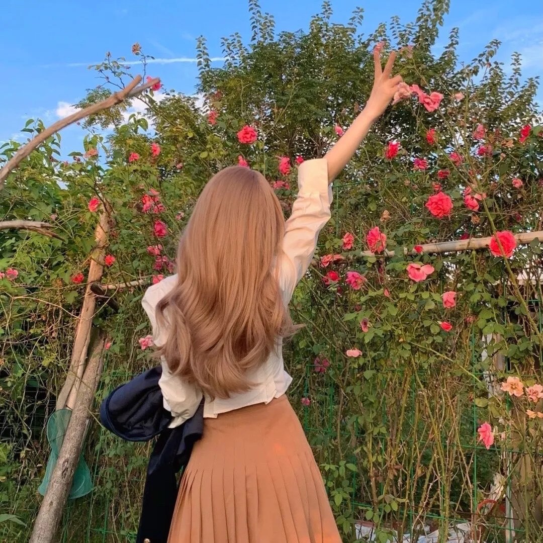 春燕展翅
